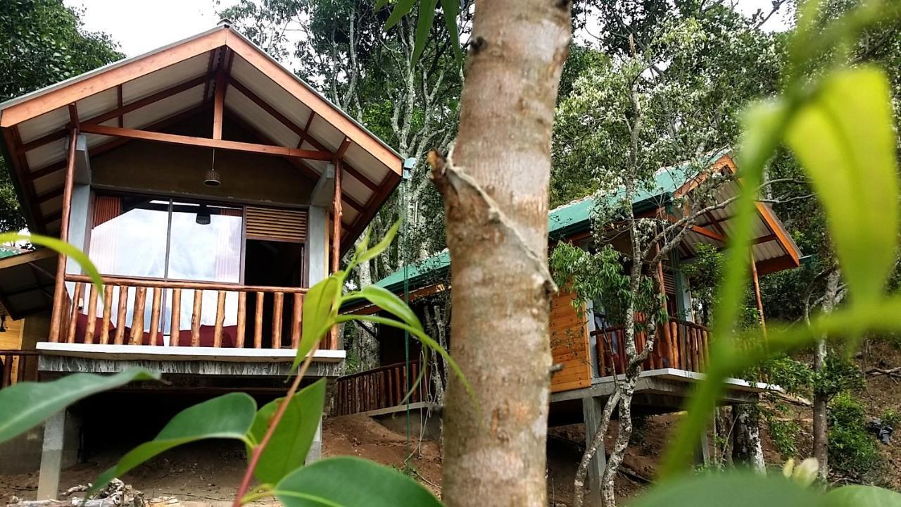Saffron Eco Cottage Ella Exterior foto